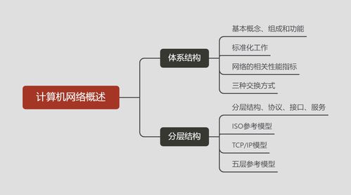 計算機網(wǎng)絡(luò)技術(shù)概述